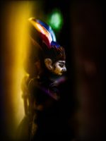 Elmer Ralph Dinkelaar, Mahabharata, Ramayana, Taman Indonesia, doll, dolls, heldendicht, marionet, pop, poppenspel, puppet, puppet play, puppets, schaduw, schaduwspel, schimmen, schimmenspel, shadow play, wajang, wayang